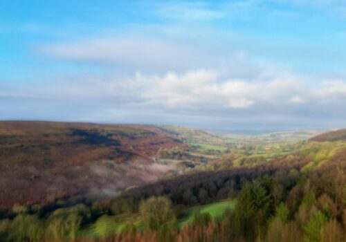 Misty Morning on the North York Moors