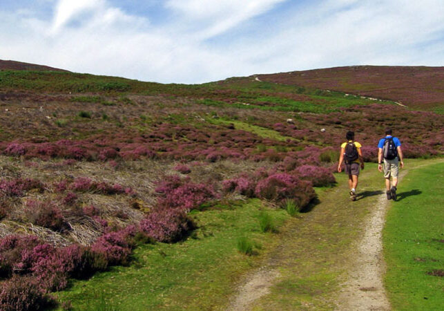 things-to-do-walking-northyorkmoors