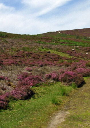things-to-do-walking-northyorkmoors